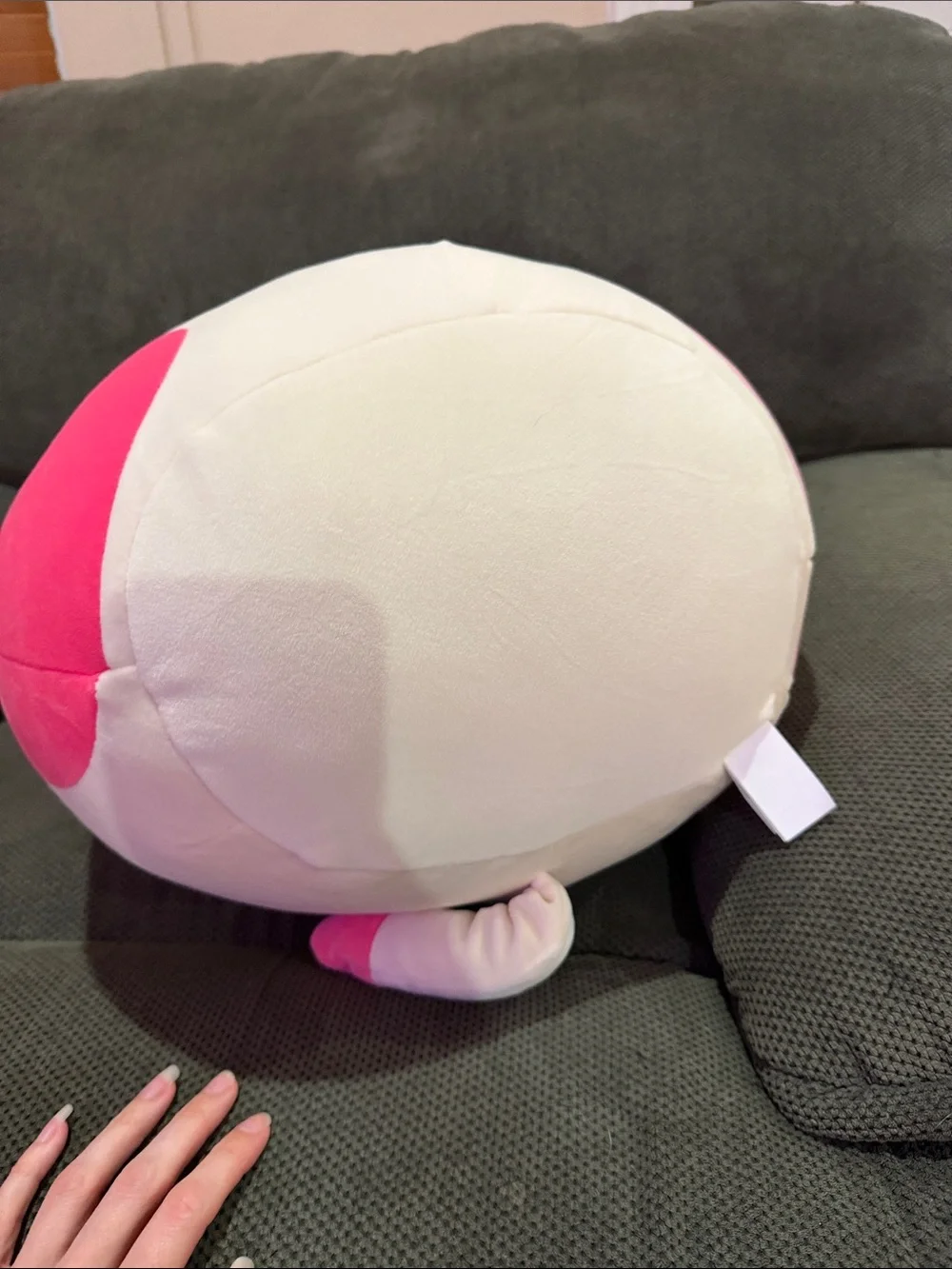 Squishmallows Susan Q Pink and Cream Cat Plush Pillow
